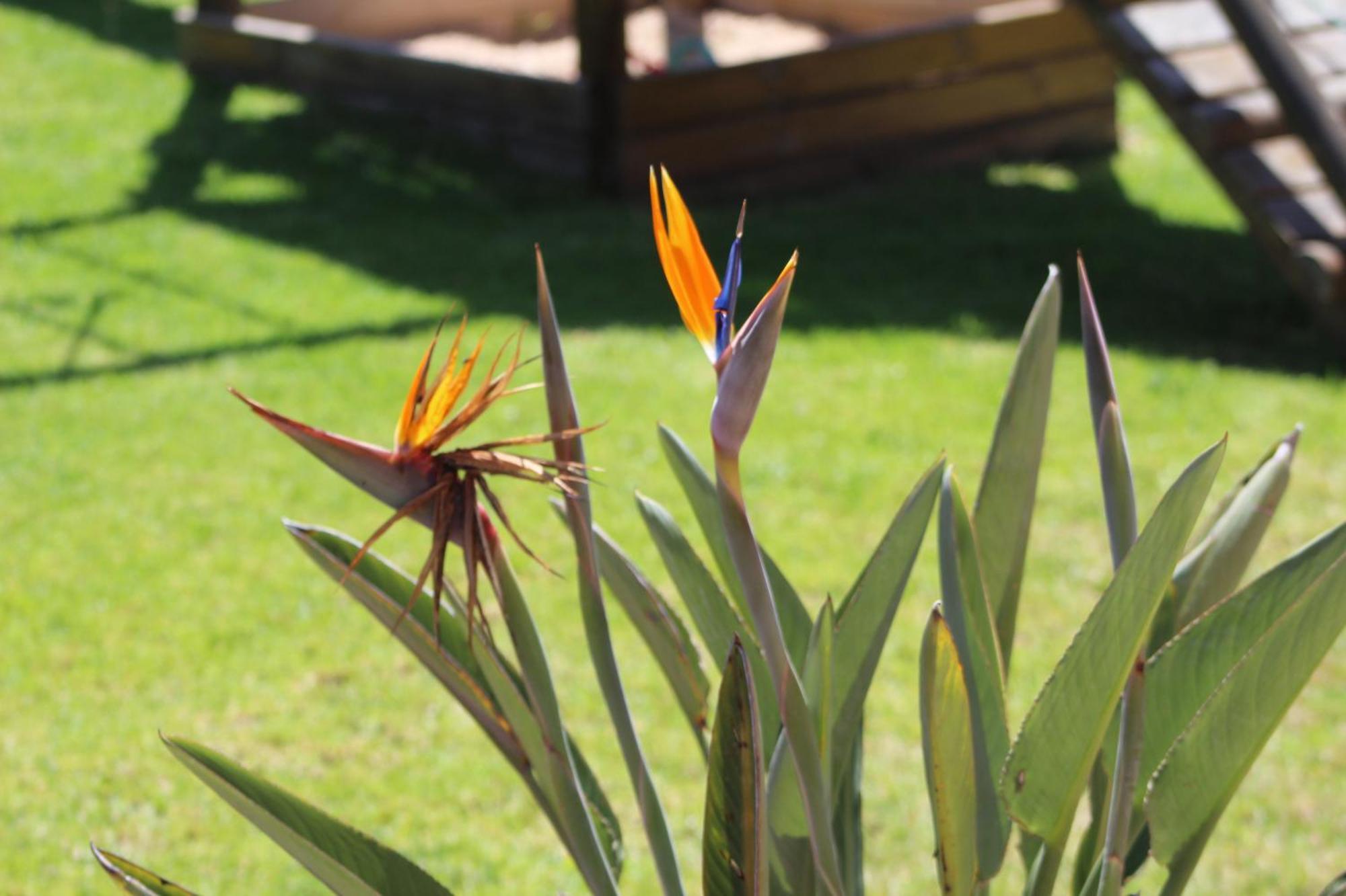Hartenbos Private Game Lodge Zewnętrze zdjęcie