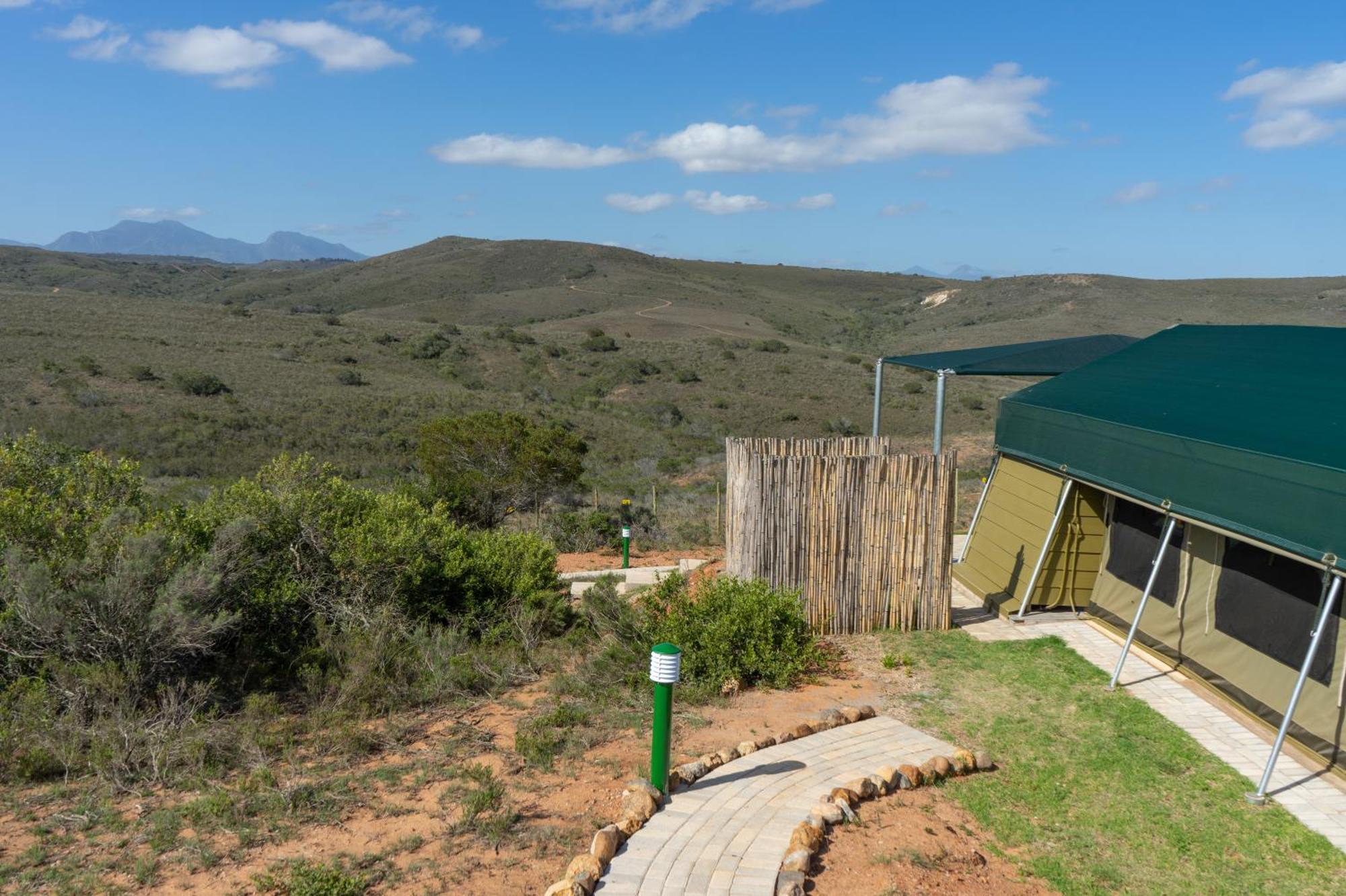 Hartenbos Private Game Lodge Zewnętrze zdjęcie