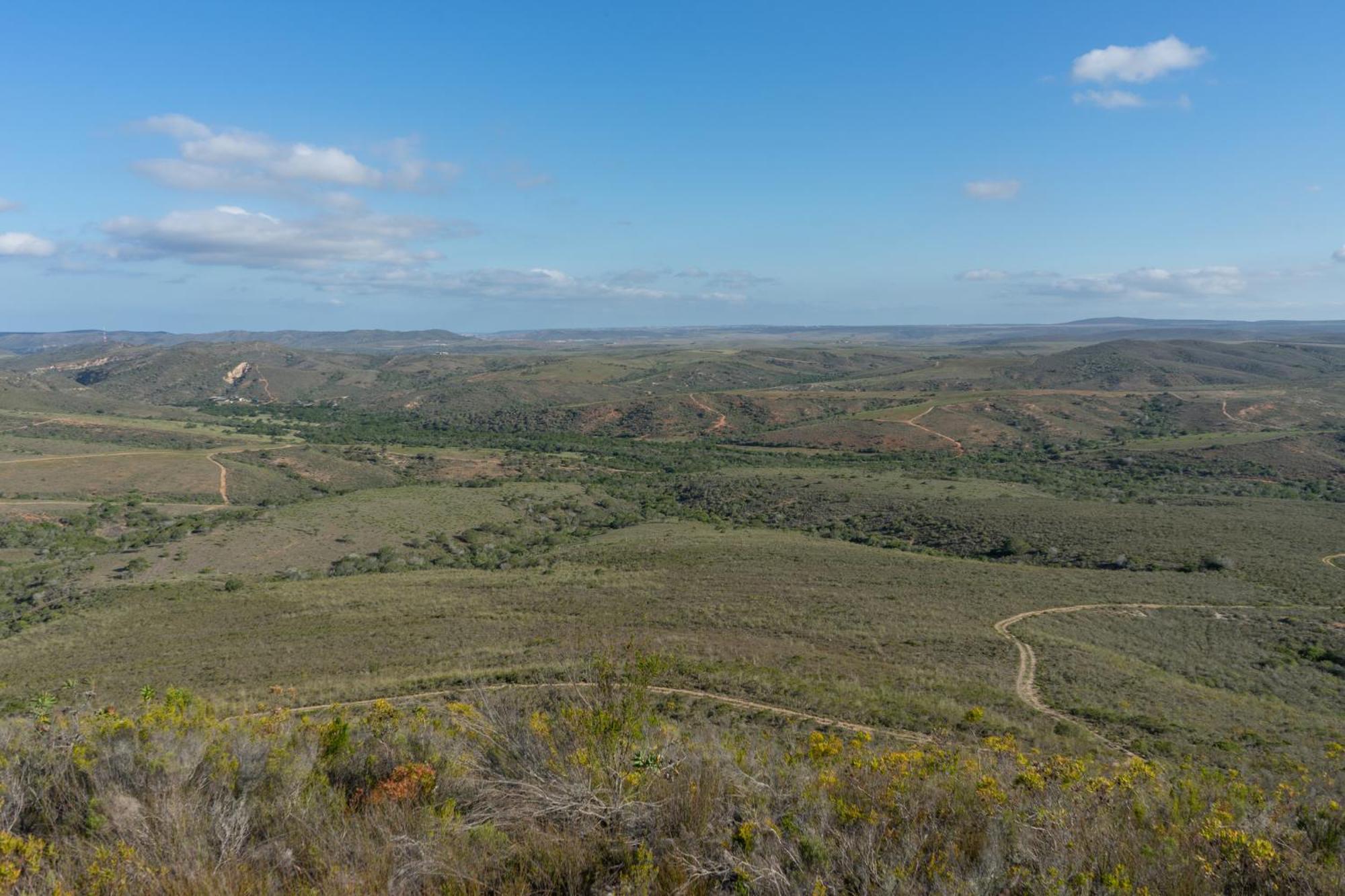 Hartenbos Private Game Lodge Zewnętrze zdjęcie