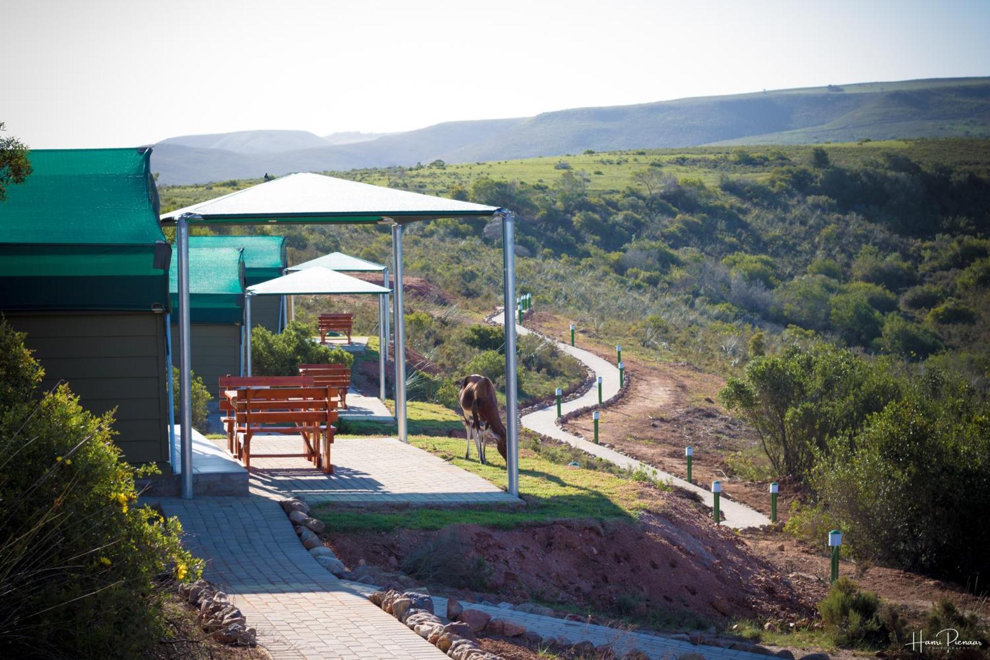 Hartenbos Private Game Lodge Zewnętrze zdjęcie